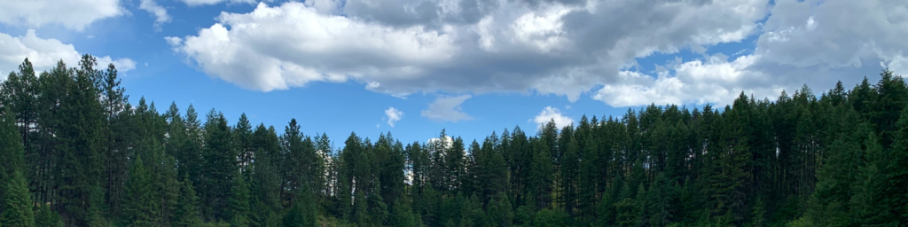 Summer Sky w/ Treeline